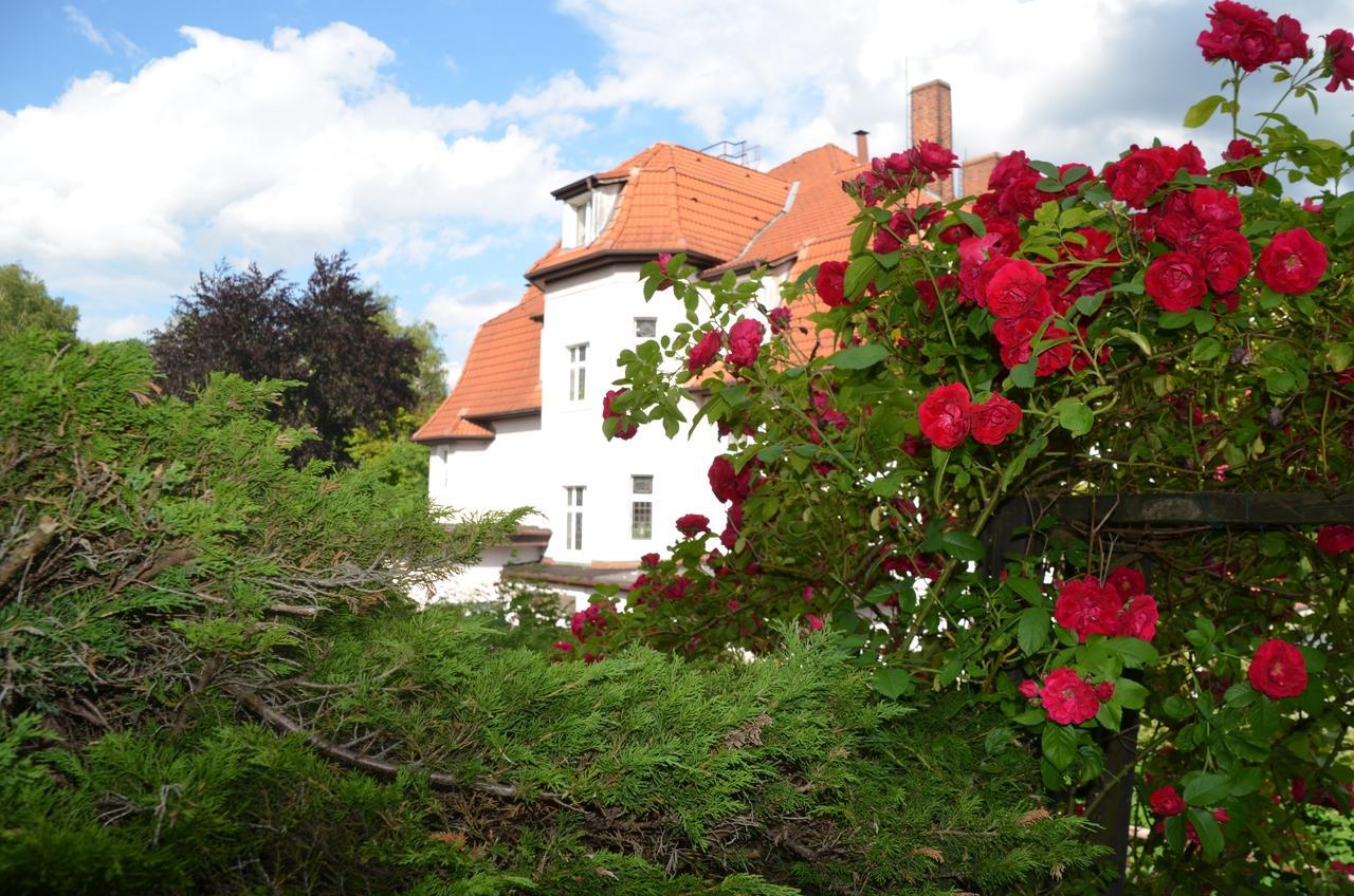 Kurhaus Jonsdorf Hotel Esterno foto